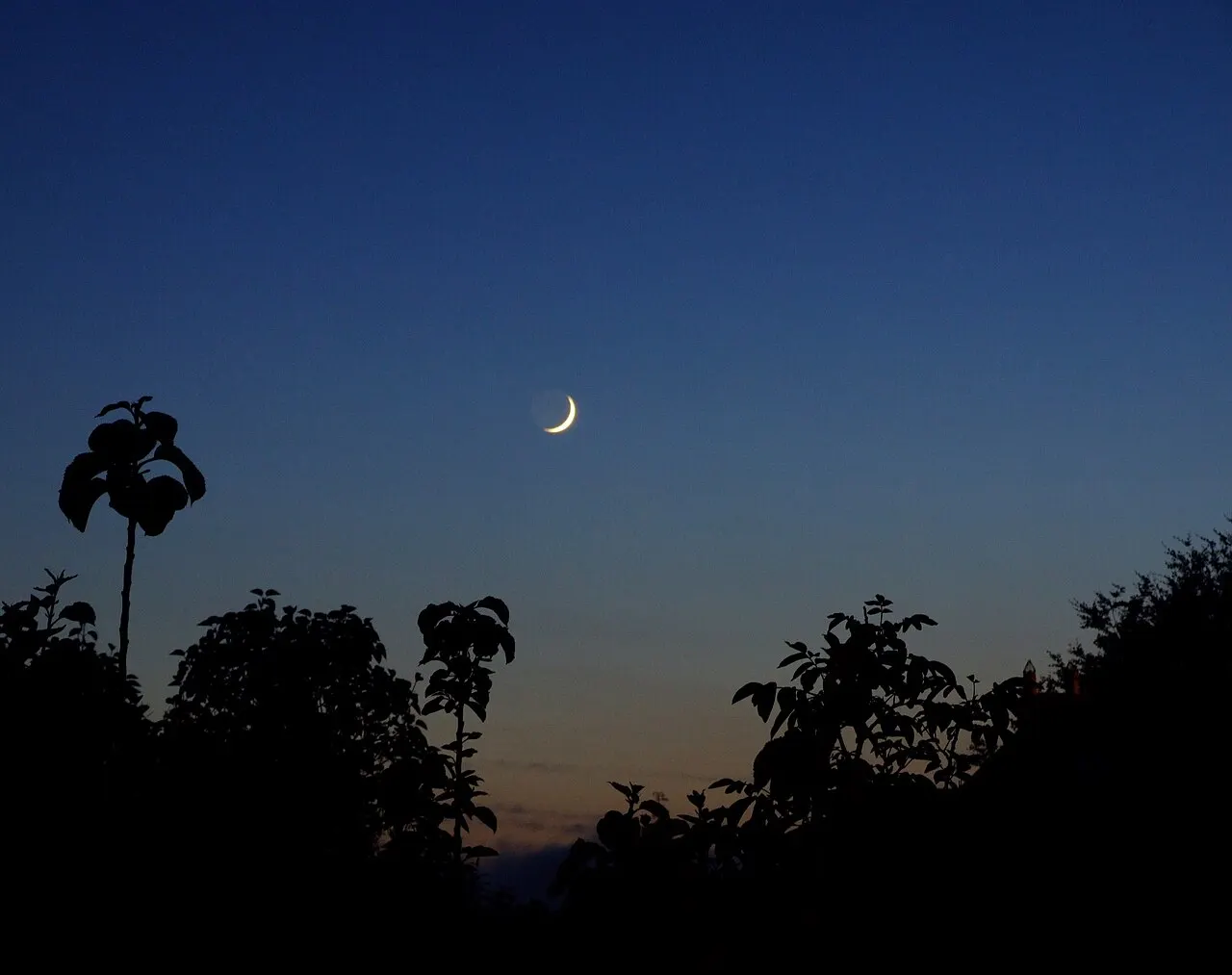 Croissant de lune dans un ciel de crépuscule bleu profond